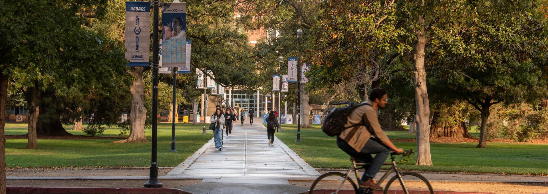 Student cycling near the quad